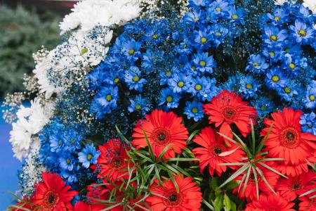 Župan Matej Slapar ob dnevu državnosti »Ko narod stoji odločno, z vero v svoje vrednote in pravice, postane nepremagljiv.«  (1)